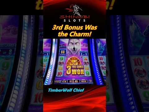 BIG WIN Bonus in Timber Wolf Chief! 3rd Bonus Was the Charm! #shinobislots #shorts #shortfeed