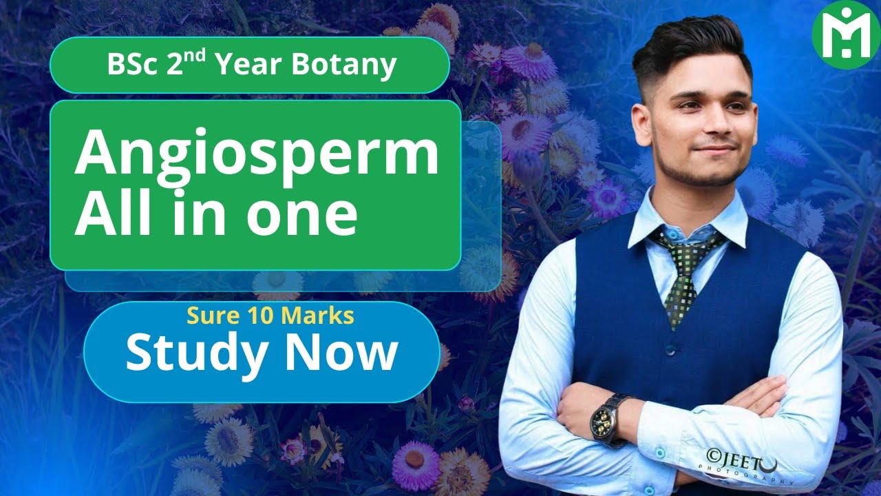BSc 2nd Year Botany || Angiosperm All in One 🔥 - YouTube