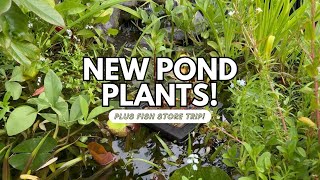 Transforming My Ponds with NEW Plants!🌿| Pond Planting & Fish Store Trip