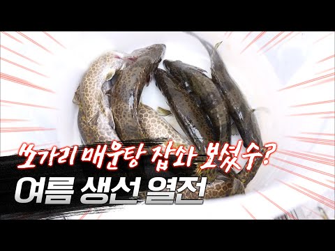 쏘가리 매운탕 잡솨 보셨수? #여름철보양생선 #민물의제왕 #쏘가리 #가자먹으로