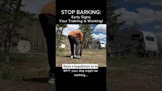 Stop Barking: Early Signs Your Training is WORKING! #dogtraining #dogtrainer #dogtraining101 #dogs