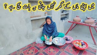 Mujhe Apni Mother Key Ghar Kon Nahi Jane Deta ? Village Routine Work