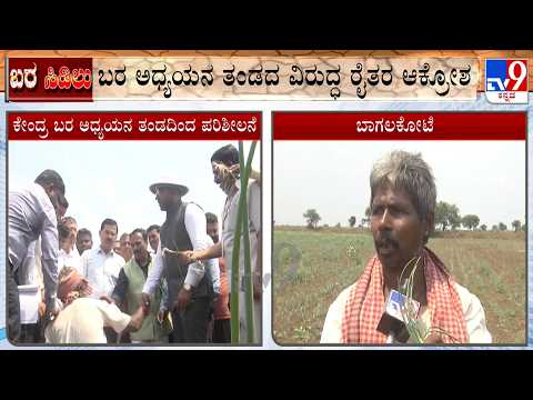 Bagalkot Drought Survey: ಬಾಗಲಕೋಟೆಯಲ್ಲಿ ಬರ ಅಧ್ಯಯನ ತಂಡದಿಂದ ಪರಿಶೀಲನೆ! ಅಧ್ಯಯನ ತಂಡದ ವಿರುದ್ಧ ರೈತರ ಆಕ್ರೋಶ