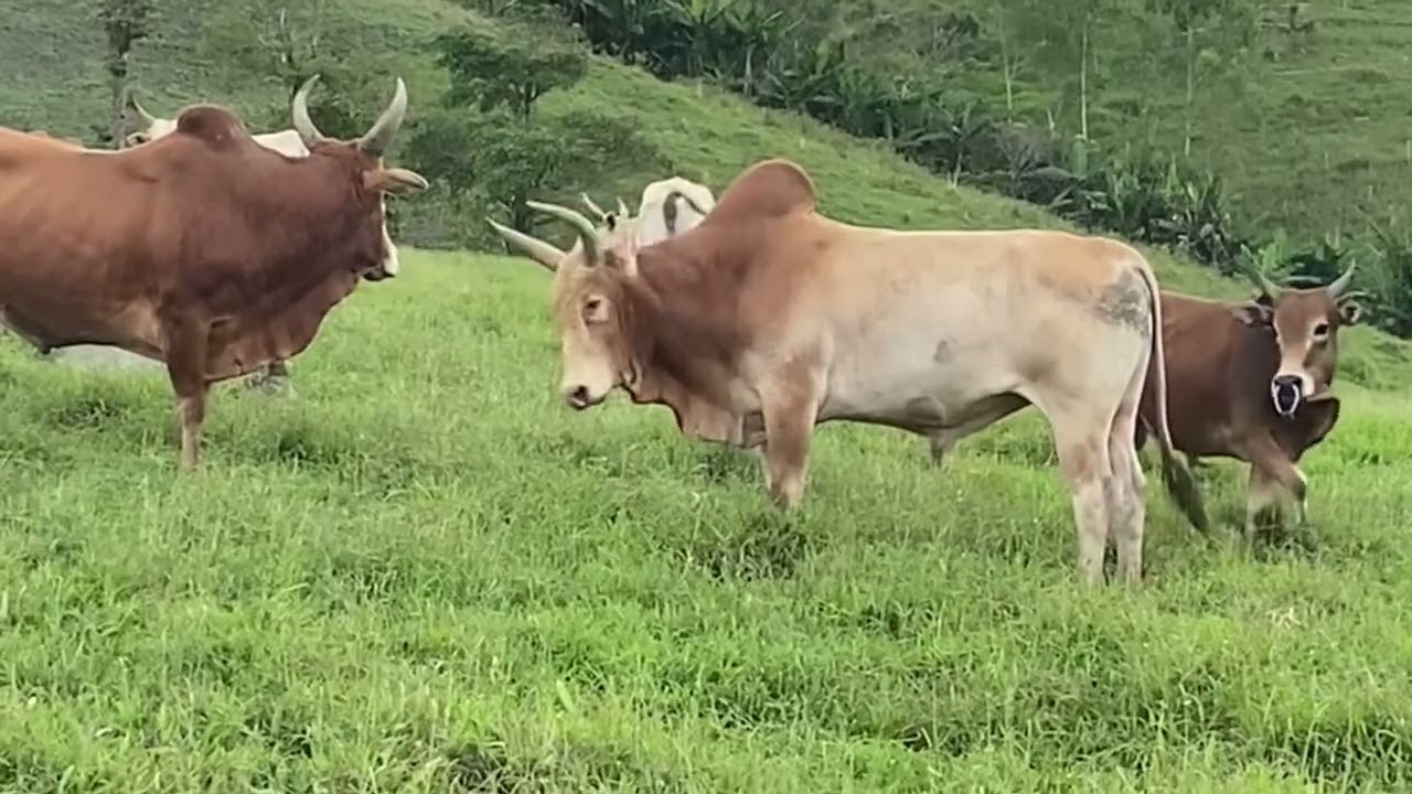 12 พฤศจิกายน 2568