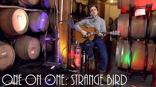 Cellar Sessions: Andrew Combs - Strange Bird March 15th, 2018 City Winery New York