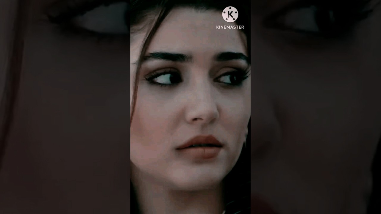 hande ercel sad status 