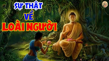 4 Sự Thật Của LOÀI NGƯỜI khiến chúng ta không khỏi CHẠNH LÒNG | Nhân Quả Luân Hồi