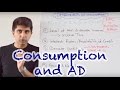 Driving Consumption Trends in Economics
