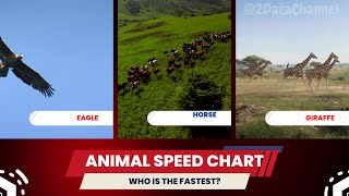 Comparison Of Animal Speeds - What Is The Fastest Animal? 2Data Channel