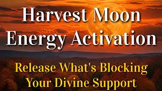 Full Moon Energy Activation 🌾 Clear the Path & Allow Your Harvest to Manifest