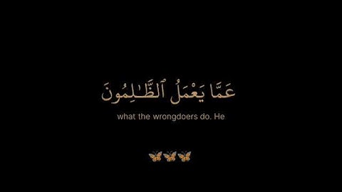 سورة إبراهيم / القارئ الشيخ ياسر الدوسري / تلاوة خاشعة تريح سمعك