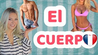 el CUERPO en FRANCÉS 🇫🇷 aprende fácil y rápido❤️ ¡¡Es gratis!!