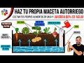 💧 MACETA AUTORRIEGO (LA MEJOR 🏆) AHORRA AGUA y CULTIVA tus PROPIOS ALIMENTOS en CUALQUIER CLIMA ☀️