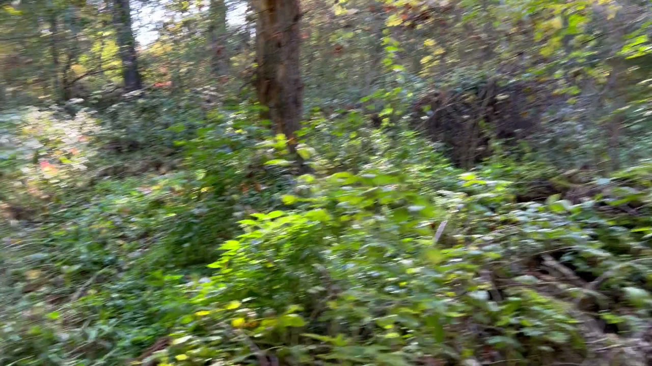 Lake Francis Minnesota Vacant Land Parcel For Sale YouTube