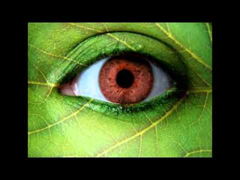 NEW Hamzaoui Med Amine KAFON Houmani