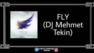 Fly | DJ Mehmet Tekin | Rmx - Ringtone | Remix | BGM_stunner | Instagram Story Songs | Instagram || Resimi