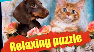 Relaxing Anti-Stress Puzzle | Cats, Dogs & Adorable Animals Stay Calm screenshot 2