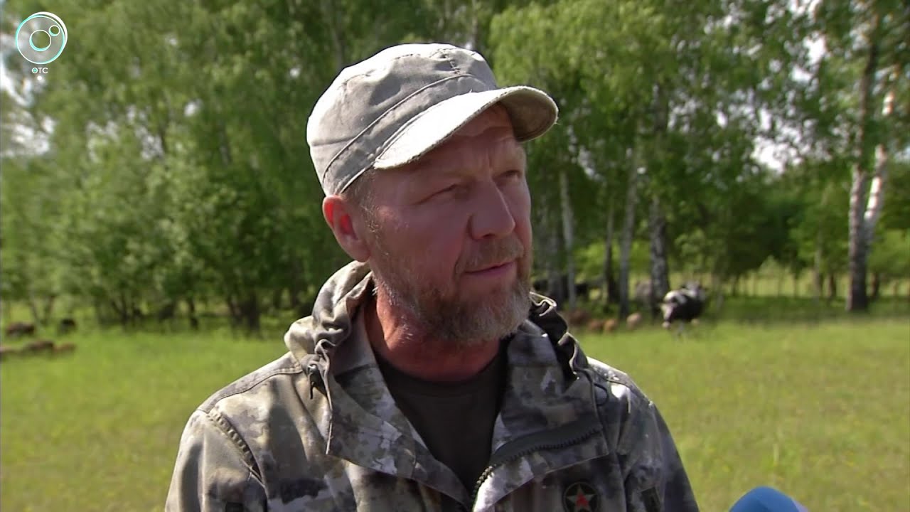 Смогут ли новосибирские аграрии заготовить корма в достатке? - YouTube