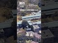 【空から見る】天皇家の住居「皇居・御所」が広すぎた!!#天皇 #皇族 #皇室 #皇居 #秋篠宮 #空から見る #emperor #shorts