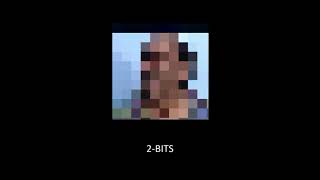 1 bit 2 bits 4 bits 8 bits 16 bits 32 bits 64 bits 128 bits yArra