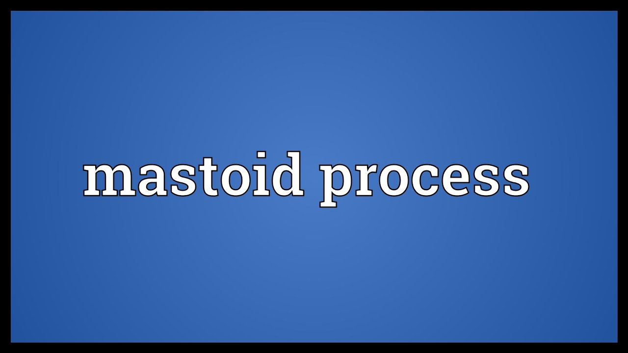 Mastoid process Meaning YouTube