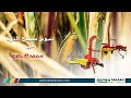 شوبر سيلاج الذرة Corn Silage Chopper شوبر سيلاج الذرة Corn Silage Chopper