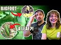 Debunking paranormals bigfoot ghosts a leaf