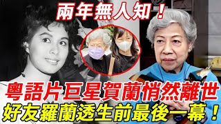 Download Lagu 死訊被瞞兩年！粵語片巨星賀蘭早已悄然離世！好友羅蘭透離世前生活惹人憐，親筆遺囑曝光驚呆眾人！#賀蘭 #羅蘭 #粵語片 #粵劇名伶 #HK娛樂台 MP3