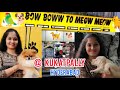 Bow boww to meow meow  biggest pet store in hyderabad  kukatpally  usharavi 