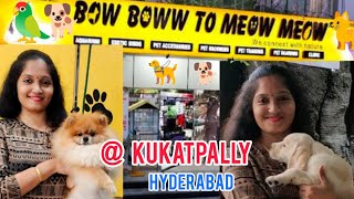 BOW BOWW TO MEOW MEOW | BIGGEST PET STORE IN HYDERABAD @ KUKATPALLY | USHARAVI |