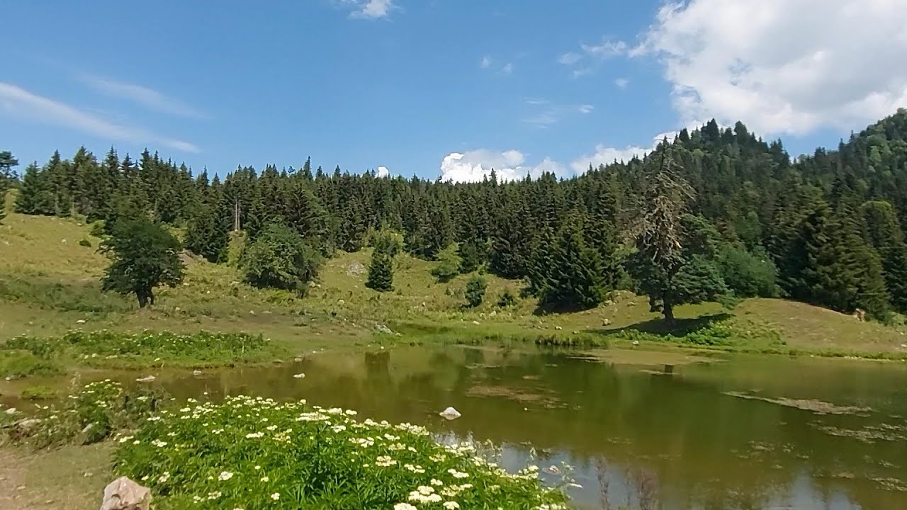 سفاري برجومي جورجيا 2