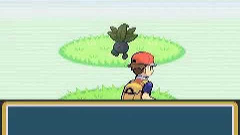 Unused diagonal player/NPC movements (Generation III)