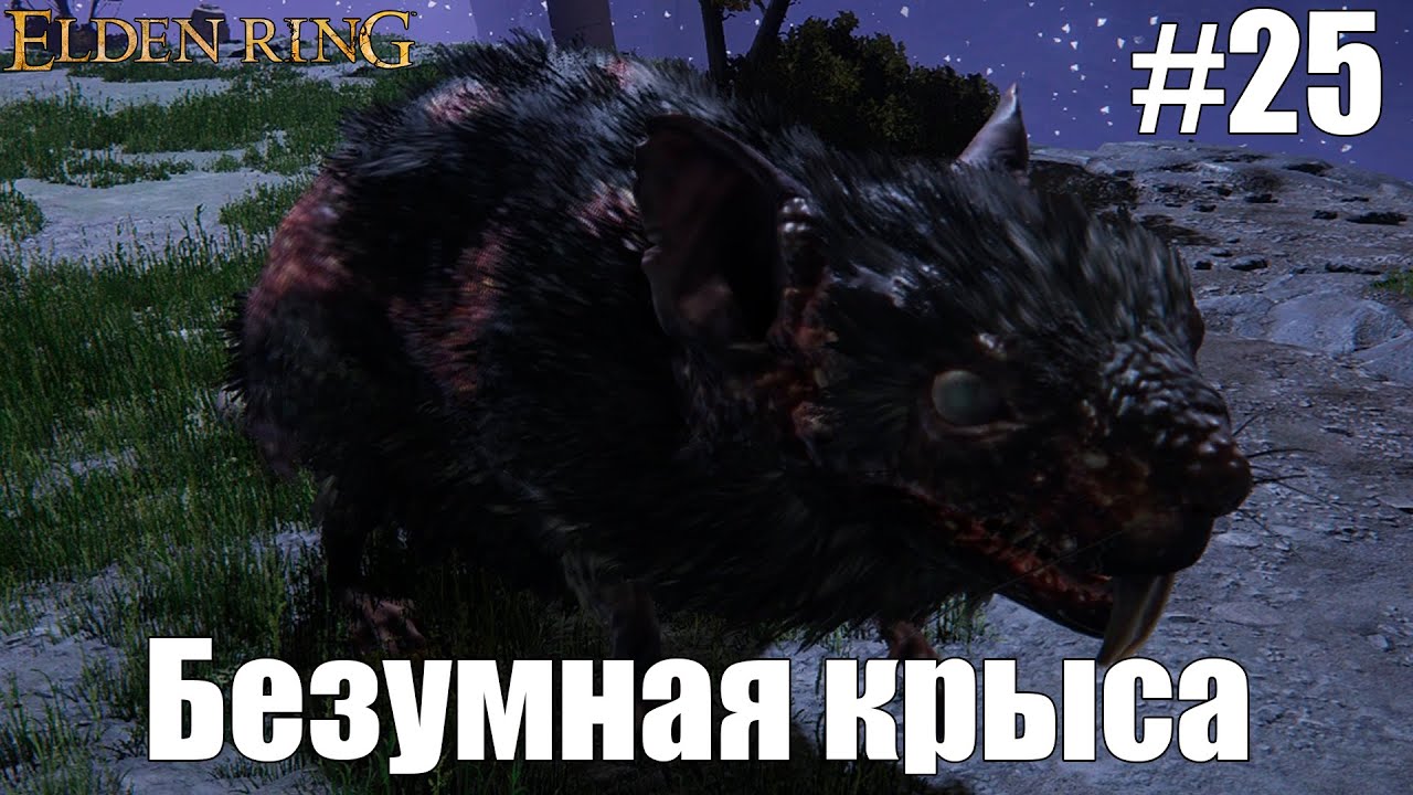 Безумная крыса | Elden Ring #25