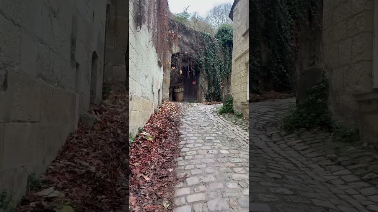 These Streets Led Joan of Arc to the King