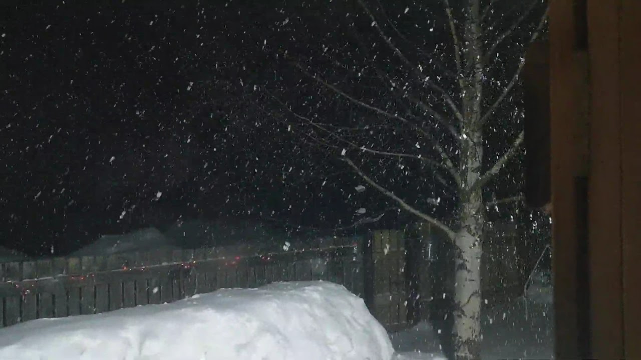 Снег мп 3. Падающий снег mp4. Снег ночью видео. Сугробы 2021 декабрь. Нет снега в декабре.