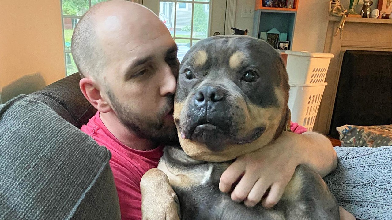 Woman Adopted a Seal-Like Dog and Uncovered His Unusual Secret