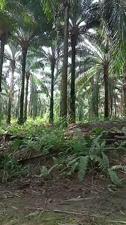 kerja untuk keluarga