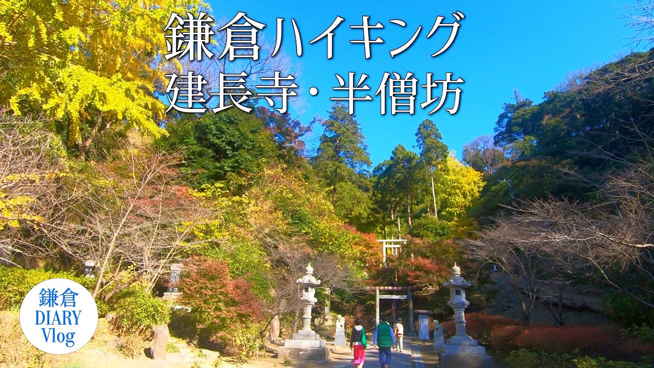 鎌倉vlog 鎌倉宮 獅子舞 年12月6日 Kamakura Diary Vlog 43 Youtube