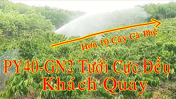 Béc PY40Gn2 Tưới Cực Đều Khách Quay Thiết Bị Tưới Gia Nông