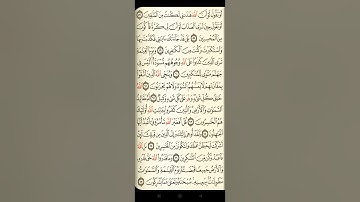 @آيات مباركة من سورة (الزمر) اخي الفاضل تفكر بها من الآية الكريمة (٥٦-٦٧)