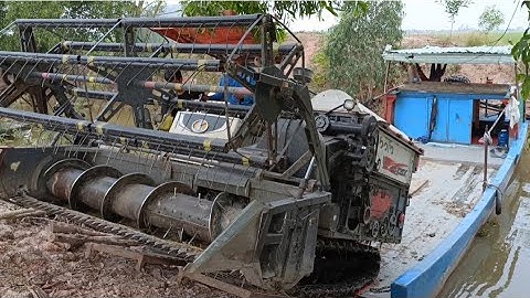 máy cắt 105 độ bánh 9 Lên phà cắt lúa rất nhanh tập 88 #maibangtv