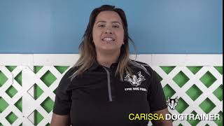 WATCH CARISSA'S TRAINER CAM INTRO/CAMERA TEST DOG TRAINING IN THE OC