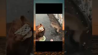 Download Lagu 🙉: malu sikit😹 #memes #memengakakkocak #funny #fypyoutube #viralvideoshorts #fyp MP3 Download Lagu 🙉: malu sikit😹 #memes #memengakakkocak #funny #fypyoutube #viralvideoshorts #fyp MP3
