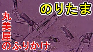【食品観察】丸美屋のふりかけ＜のりたま＞を2種類の顕微鏡でじっくり見てみた！