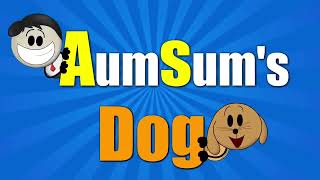 AUMSUMS_DOG_0.mp4