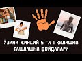 ЎЗИНИ ЖИНСИЙ 5 ГА 1 ҚОНИҚТИРИШНИ ТЎХТАТСА ОРГАНИЗМ ТИКЛАНИШИ ВА ФОЙДАЛАРИ ХАҚИДА