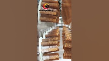 Boost Efficiency with Eruis Automated Poultry Slaughter Line – Customizable & Built to Last