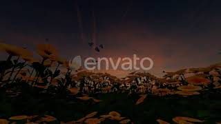 Yellow Flower At Sunset | Motion Graphics - Envato elements