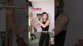 Freebird Lynyrd Skynyrd Flute Cover Rachel Ombredane