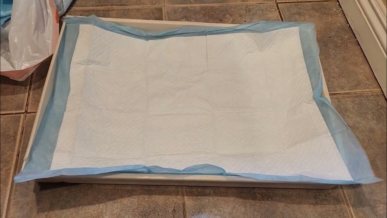 Lining a forever litter tray for the Scoopfree system YouTube